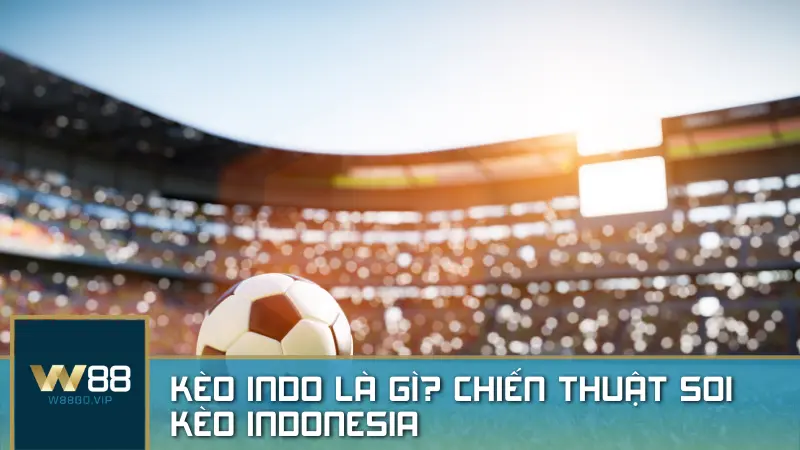 Kèo Indo (Indonesia) là gì? Chiến thuật soi kèo Indonesia để cược hiệu quả cùng nhà cái W88